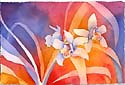 orchids.jpg