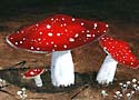 shroom1.jpg