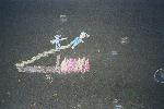 chalk2.jpg